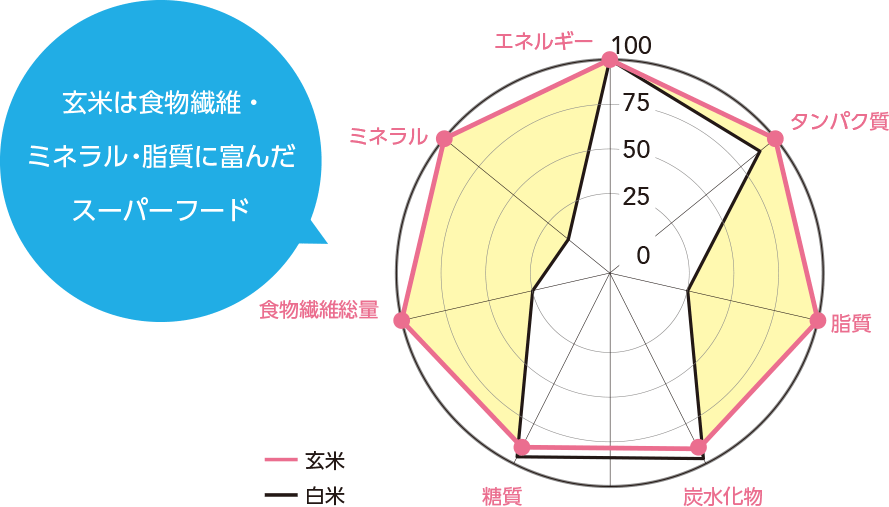 玄米は食物繊維・ミネラル・脂質に富んだスーパーフード